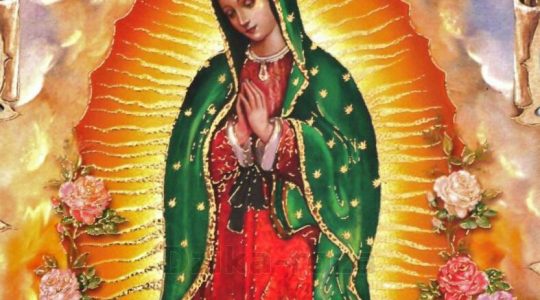Najświętsza Maryja Panna z Guadalupe
