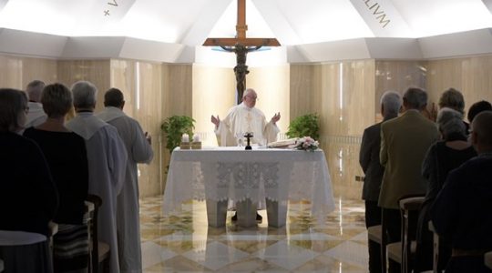 Kościół który boi się głosić Chrystusa jest niewiarygodny (Vatican Service News - 24.05.2017)