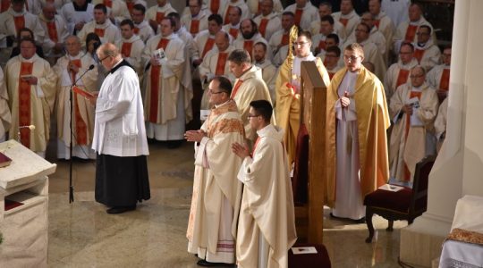 Konsekracja biskupa pomocniczego w Częstochowie(Vatican Service News - 24.06.2017)