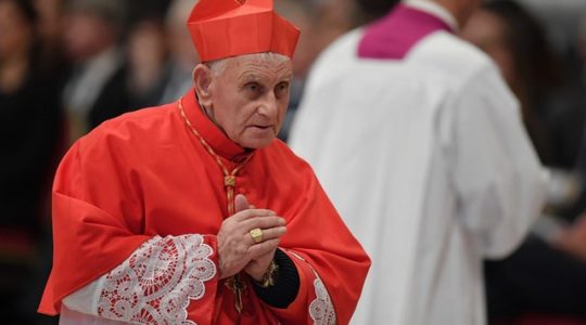 Niezwykłe świadectwo kardynała na temat Medjugorie(Vatican Service News -07.08.2017)