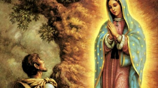 Najświętsza Maryja Panna z Guadalupe (12.12.2017)