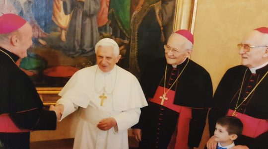 Trzej biskupi De Nicolò  (18. 02. 2018)
