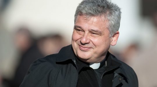 Nowy Polski Kardynał (Vatican Service News - 20.05.2018)