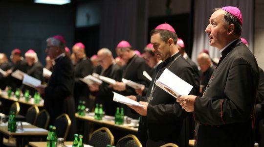 Episkopat Polski na temat adhortacji Ojca Świętego Franciszka (Vatican Service News -10.06.2018)