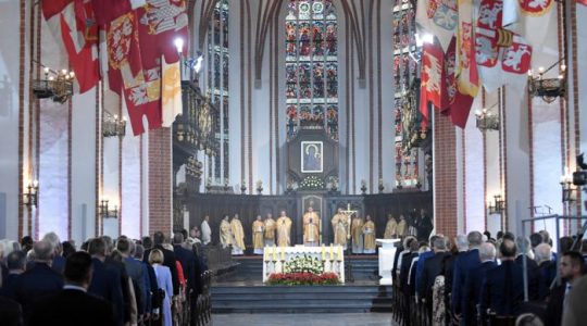 Obchody 550-lecia polskiego parlamentaryzmu (Vatican Service News - 13.07.2018)