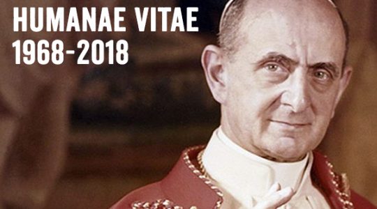 Pół wieku od ogłoszenia encykliki Humanae Vitae ( Vatican Service News - 26.07.2018)