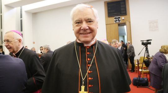 Kardynał Gerhard Muller w Polsce (Vatican Service News -07.08.2018)