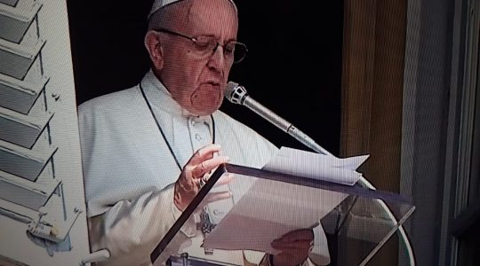Modlitwa Anioł Pański z Ojcem Świętym Franciszkiem (Vatican Service News - 21.10.2018)