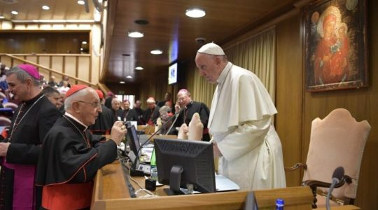 Rewolucyjne propozycje biskupów belgijskich w zakresie tematu powołań do kapłaństwa(Vatican Service News - 12.10.2018)