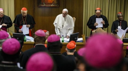 Zakończenie Synodu Biskupów w Rzymie(Vatican Service News - 28.10.2018)