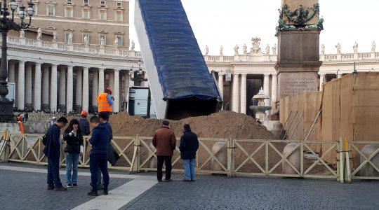 Przygotowania do budowy szopki na placu świętego Piotra (Vatican Service News -16.11.2018)