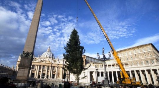 Choinka na placu świętego Piotra (Vatican Service News - 22.11.2018)