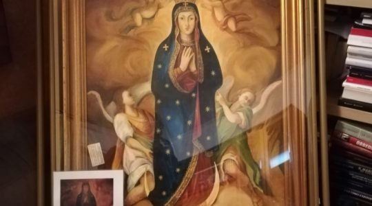 Wizerunek Matki Bożej z Niegowici pielgrzymuje na północy Włoch (28.01.20919)
