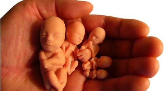 Potrzeba szturmu modlitewnego za dzieci zagrożone aborcją (Vatican Service News - 05.01.2019)