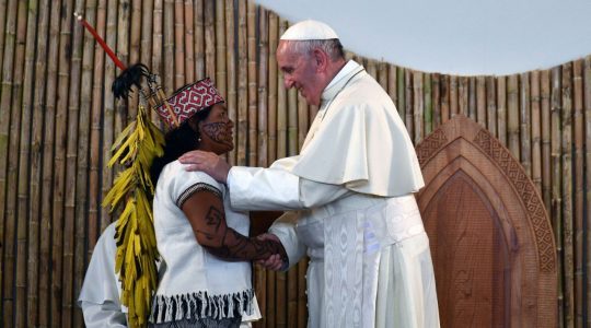 POSYNODALNA ADHORTACJA APOSTOLSKA QUERIDA AMAZONIA(12.02.2020)
