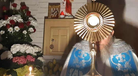 Adoracja Eucharystyczna-Adorazione Eucaristica-28.04.2020