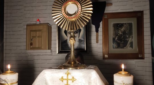 Adoracja i Apel Maryjny-Adorazione Eucaristica e preghiera Mariana-04.04.2020