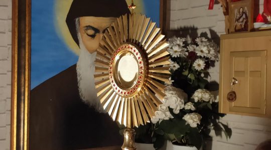 Transmisja z Adoracji Najświętszego Sakramentu-Adorazione Eucaristica in diretta -27.04.2020