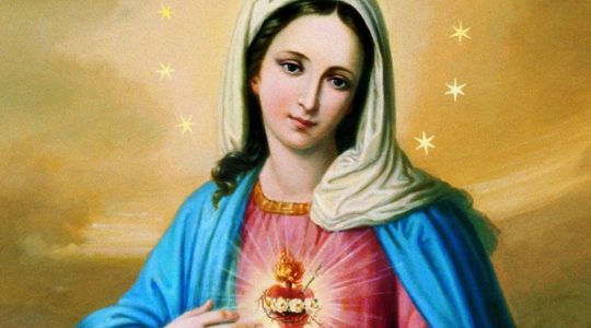 Niepokalane Serce Najświętszej Maryi Panny (20.06.2020)