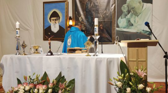 Transmisja Mszy Świętej-Wspomnienie św. Maksymiliana Maria Kolbe męczennika-14.08.2020