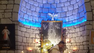 Msza Świeta-Uroczystość Niepokalanego Poczęcia Najświetszej Maryi Panny-Florencja 08.12.2020