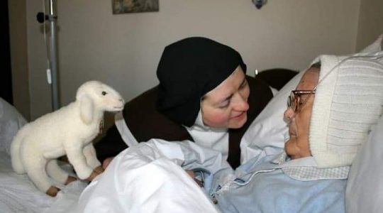 Owieczka siostry Łucji z Fatimy (9.01.2021)