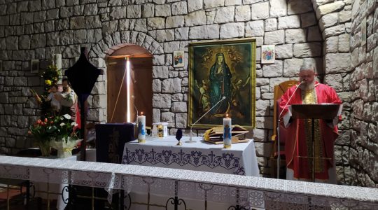Transmisja Mszy Świętej o godz. 20.00-Uroczystość Niedzieli Palmowej-Florencja 28.03.2021