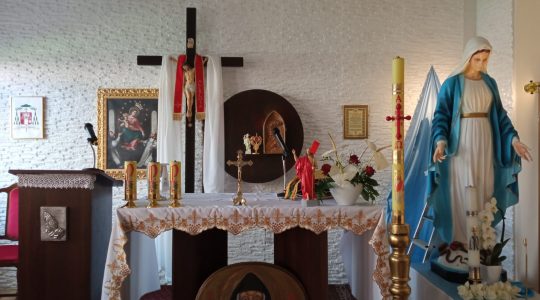 Ieri la statua della Regina della Pace è stata accolta nella Curia vescovile di Milicz. Oggi l’ingresso nella Parrocchia di Florencja con tre giorni di celebrazioni