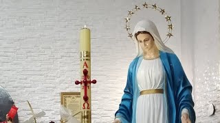Transmisja z powitania Matki Bożej o godz. 18.30-Benvenuto alla Madonna nella parrocchia alle ore 18.30-Florencja 07.05.2021