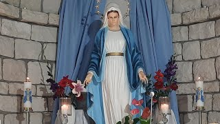 Transmisja Mszy Świętej,godz.11.00-Uroczystość Niepokalanego Poczęcia Najświętszej Maryi Panny-Florencja 8.12.2021