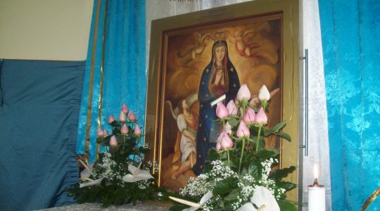 Program uroczystości Przywitania i Koronacji Cudownwgo Wizerunku Matki Bożej Wniebowziętej we Florencji
