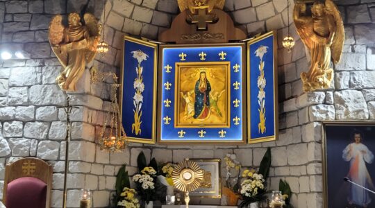 Charbel Tv-Nabożeństwo z modlitwą o uzdrowienie i uwolnienie.Adorazione Eucaristica ore 19:10,Florencja 22.07.2023
