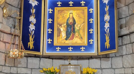 Charbel Tv-Adorazione Eucaristica-Adoracja Eucharystyczna ore 10:00, Florencja 15.08.2023