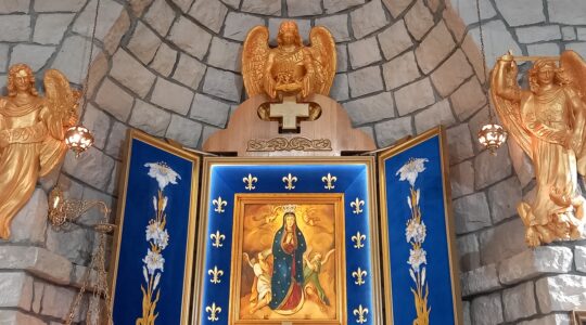Charbel Tv-Modlitwa Anioł Pański w Sanktuarium Matki Bożej Wniebowziętej godz.12:00, Florencja 08.09.2023