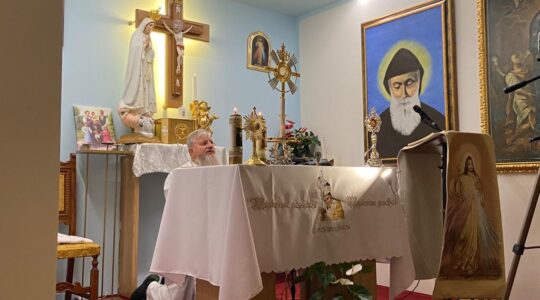 Charbel Tv-Catechesi di Padre Jarek e Adorazione Eucaristica ore 16:00, Italia 12.11.2023
