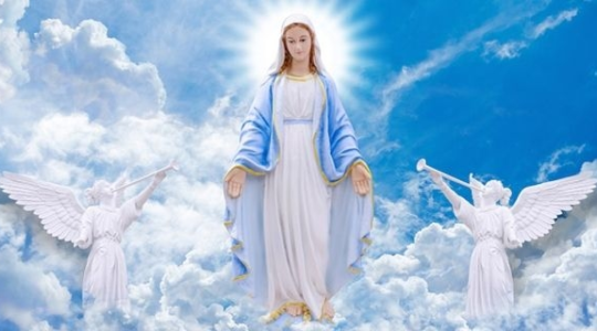 Niepokalane PoczęcieNajświętszej Maryi Panny 8.12.2023